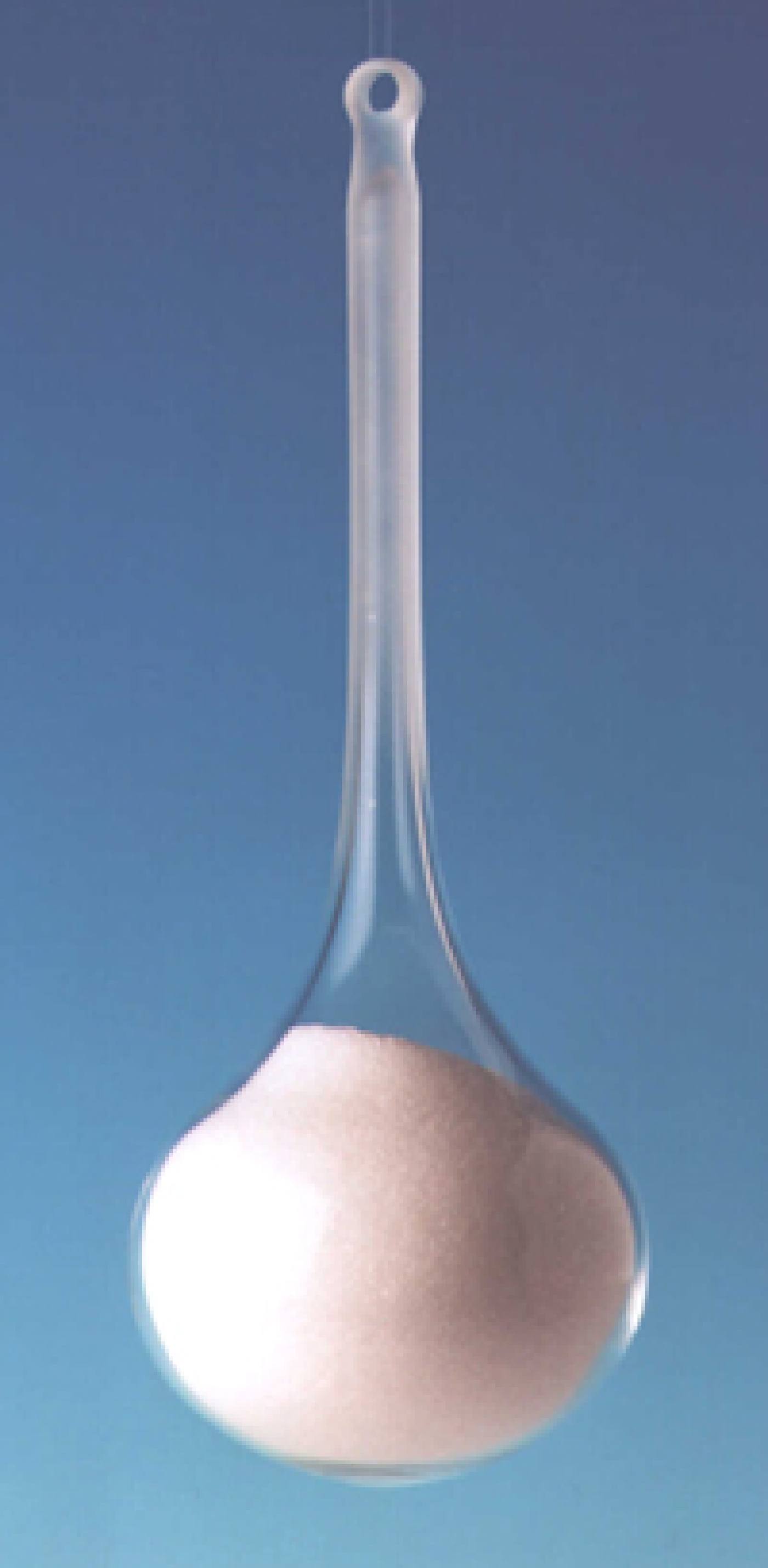 oza-parel uitgesneden.jpg